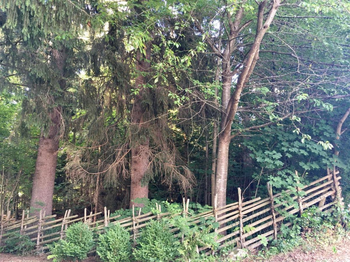 Naturforsthaus Gartenblick Fuer Hunde - Und Naturverbundene Menschen Preitenegg Exterior photo